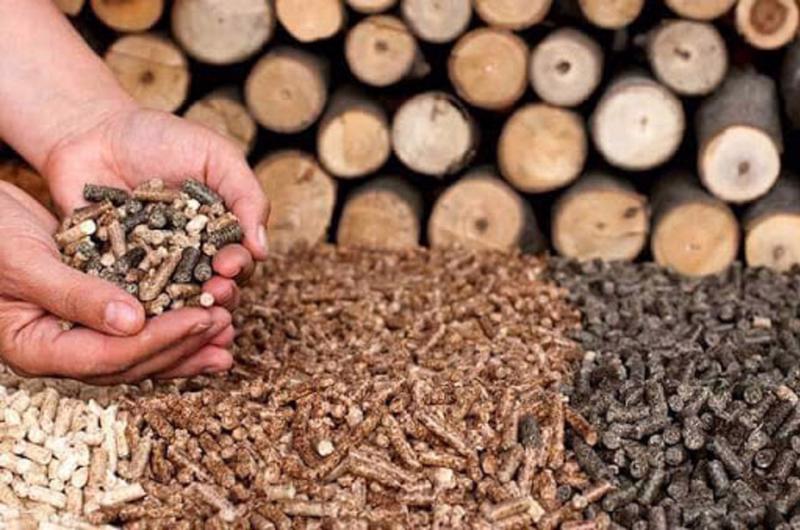 Exportations de granulés de bois le Vietnam classé au 2e rang mondial